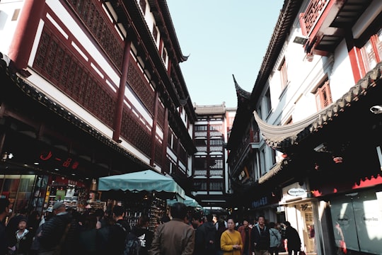 people walking on street during daytime in Yu Garden China