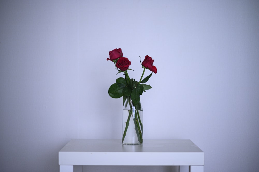 red rose in clear glass vase on white wooden table