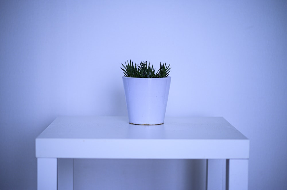 green plant in white ceramic pot on white wooden table