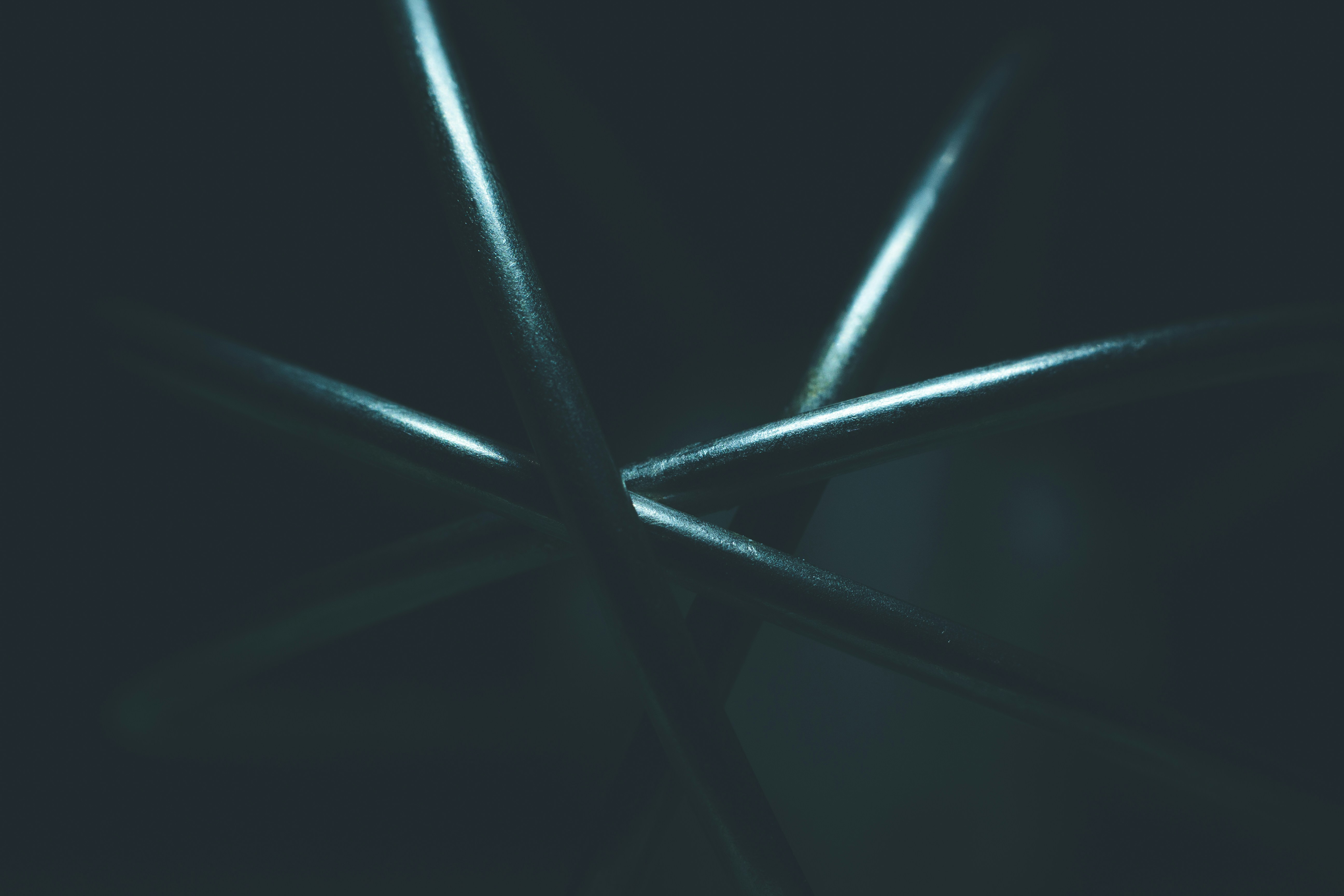 Photo by wildandbeyondbyvivek