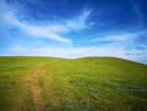 green grass field under blue sky during daytime