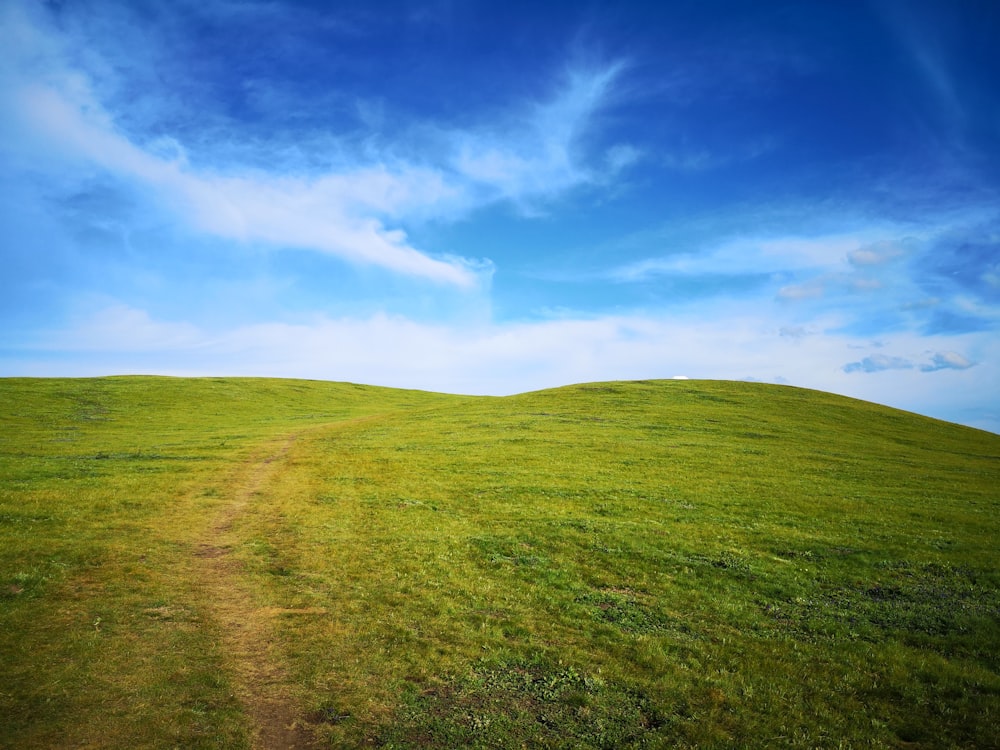 Grünes Grasfeld unter blauem Himmel tagsüber