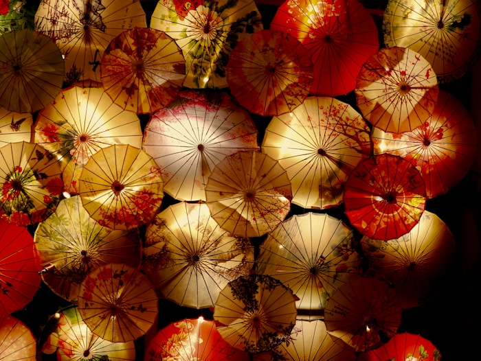 Photo 1592207244516 405c2088b5e6?q=85&w=700&h=730&fit=crop