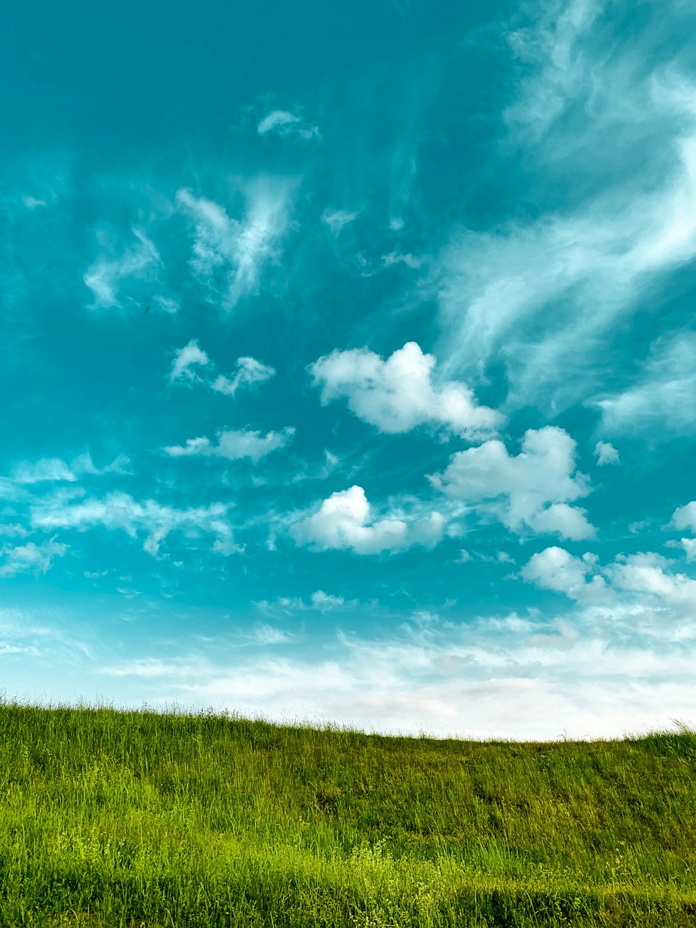 green grass field under blue sky and white clouds during daytime