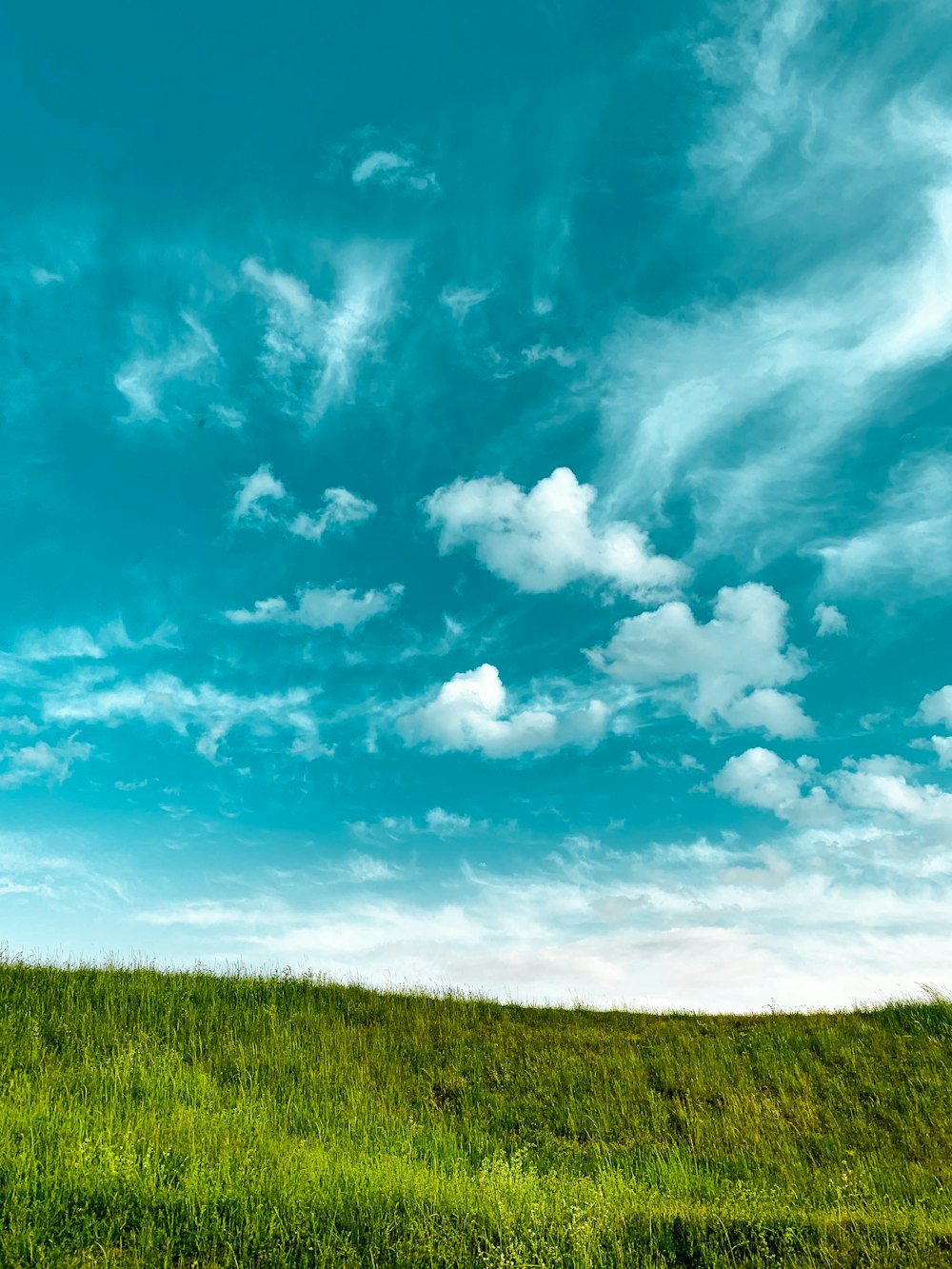 Champ d’herbe verte sous le ciel bleu et les nuages blancs pendant la journée