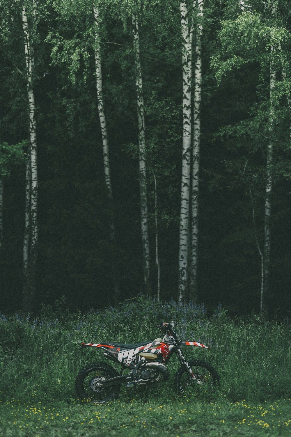 person in red jacket sitting on red camping chair on green grass field during daytime