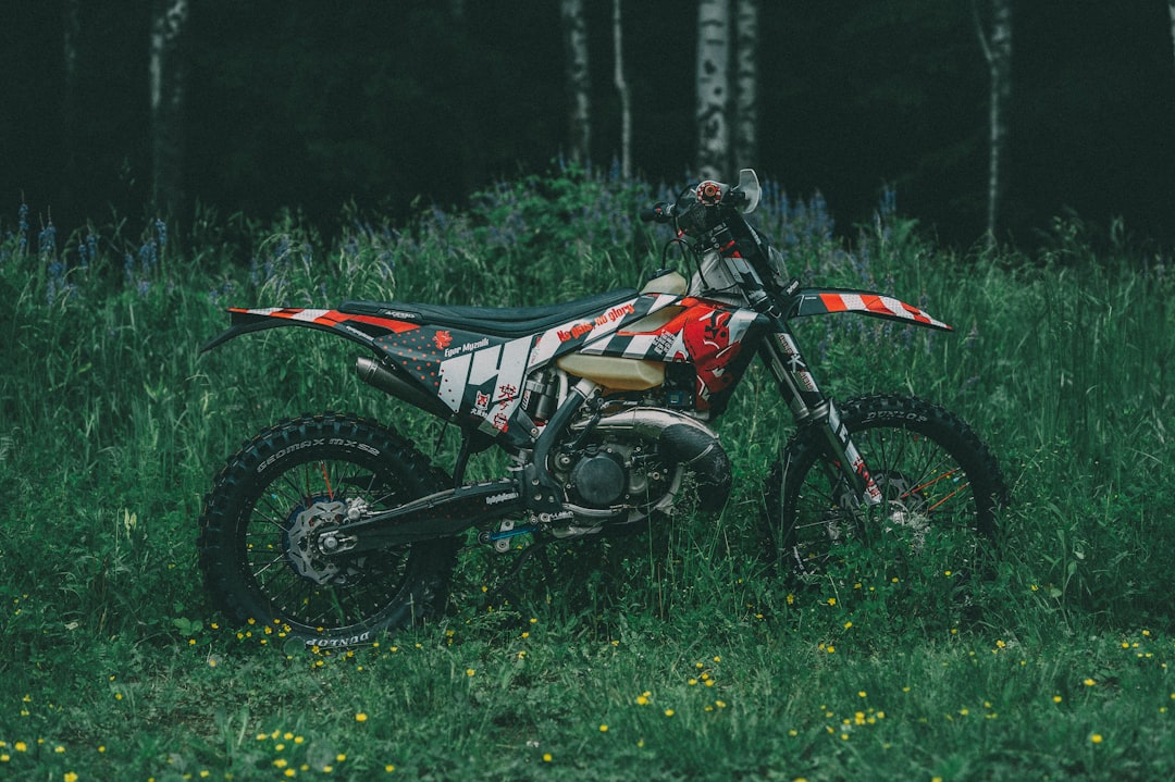 red and black motocross dirt bike on green grass field during daytime