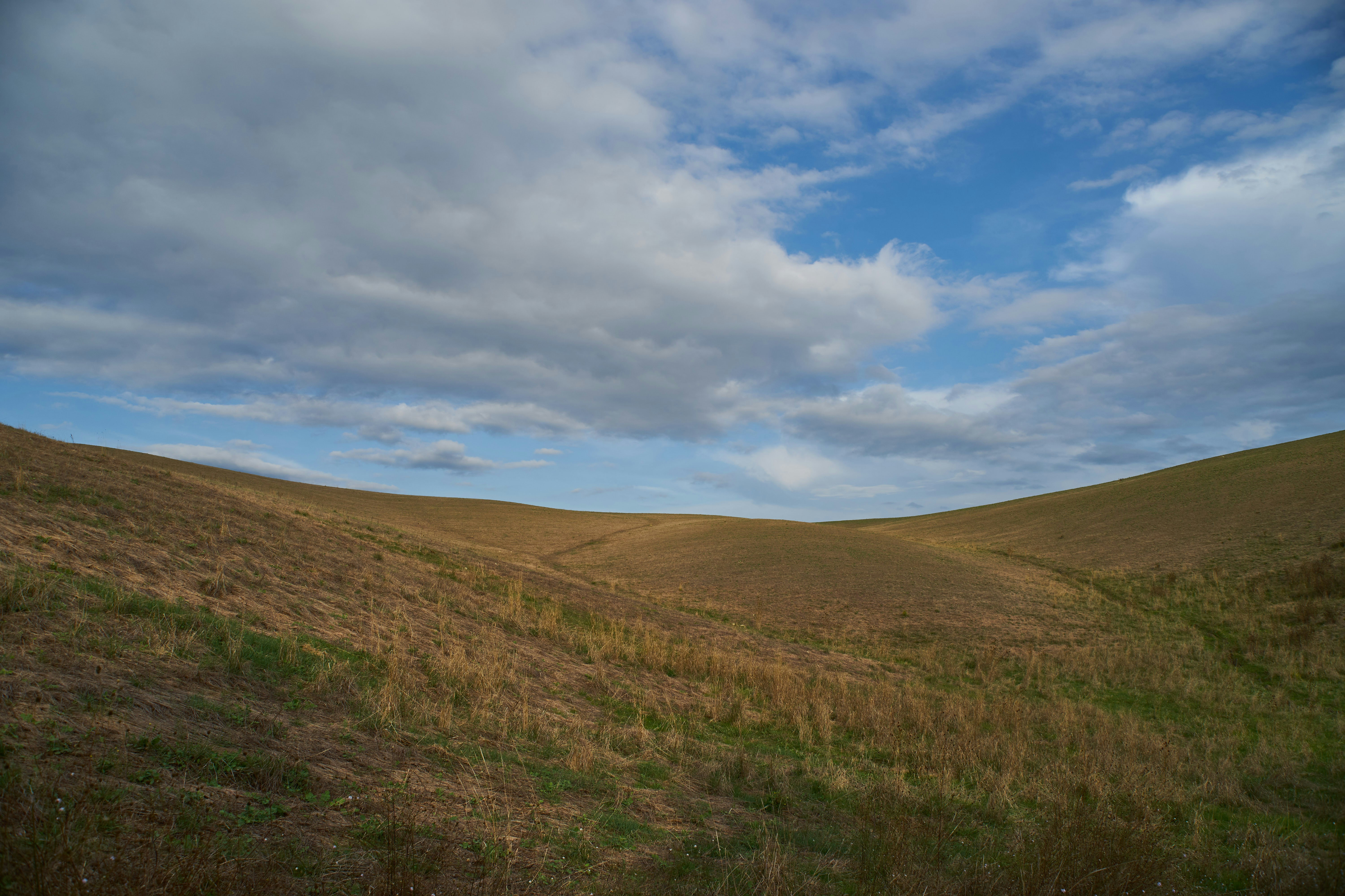 Photo by wolfgang_hasselmann