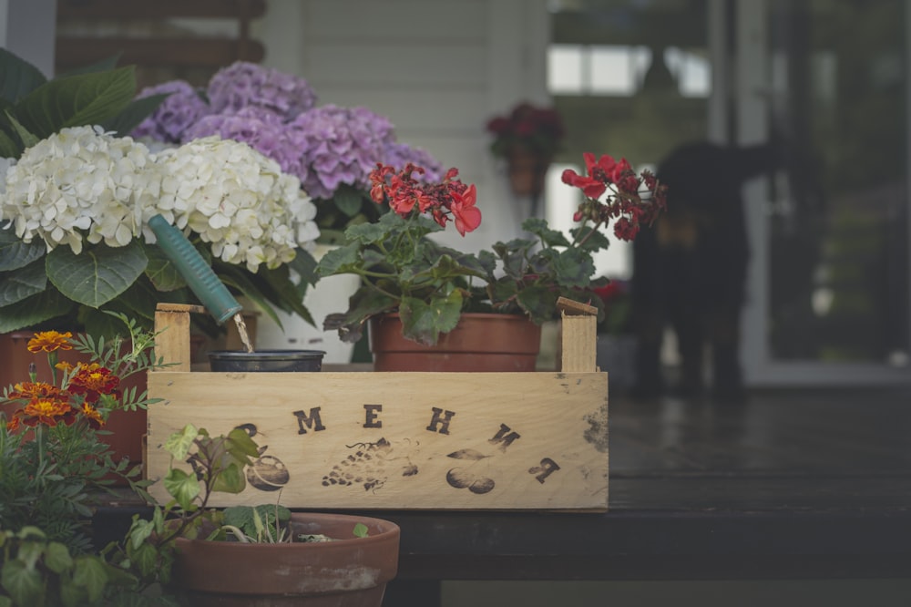 pink and white flowers on brown wooden box