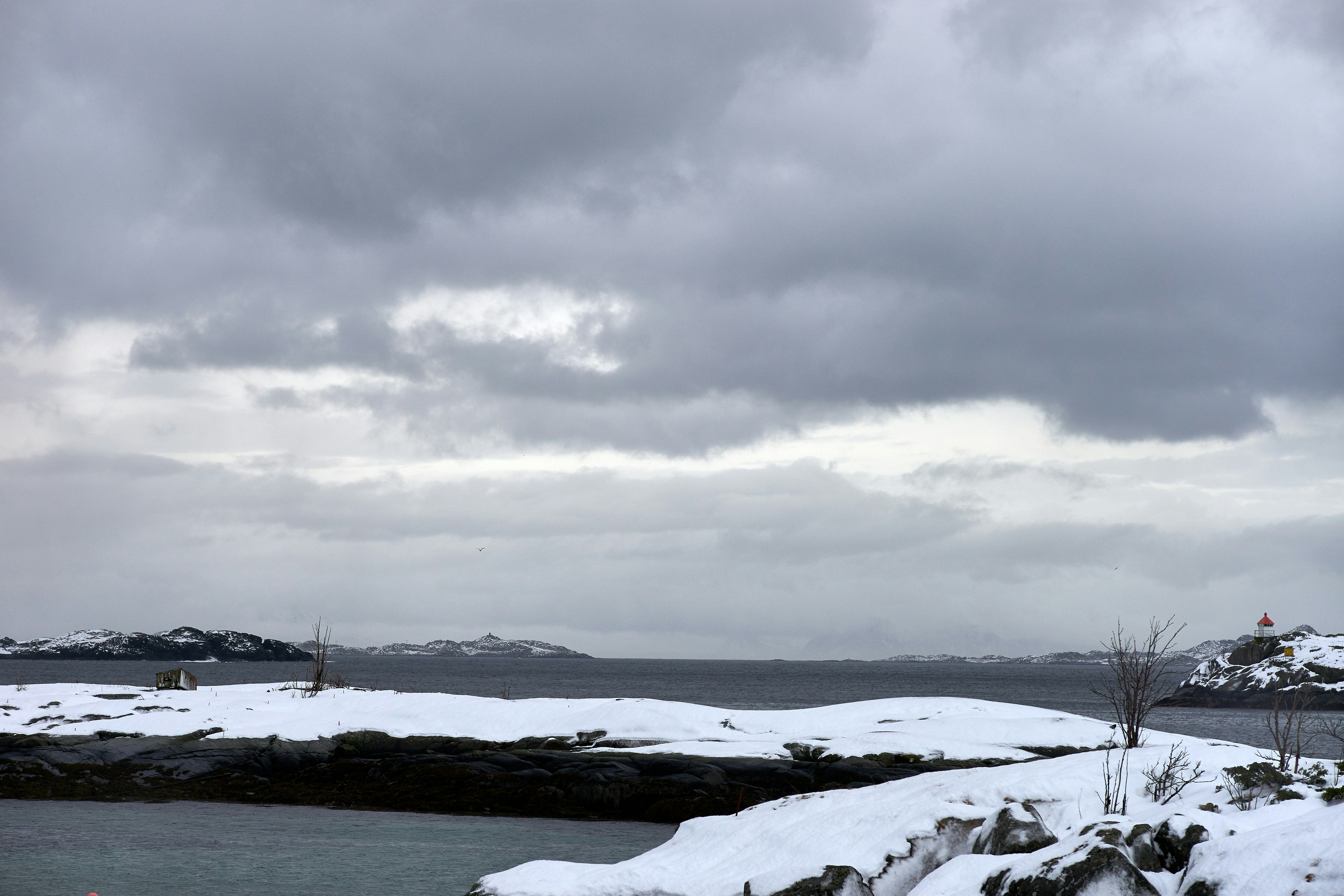 Photo by wolfgang_hasselmann