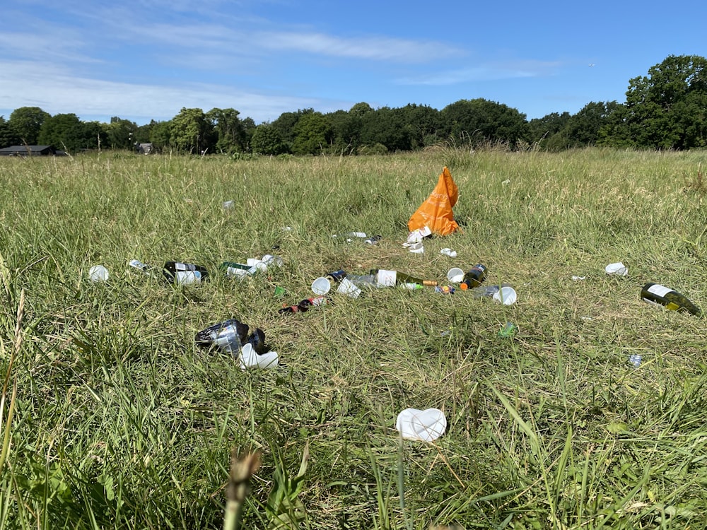 têxtil laranja e branco no campo de grama verde durante o dia