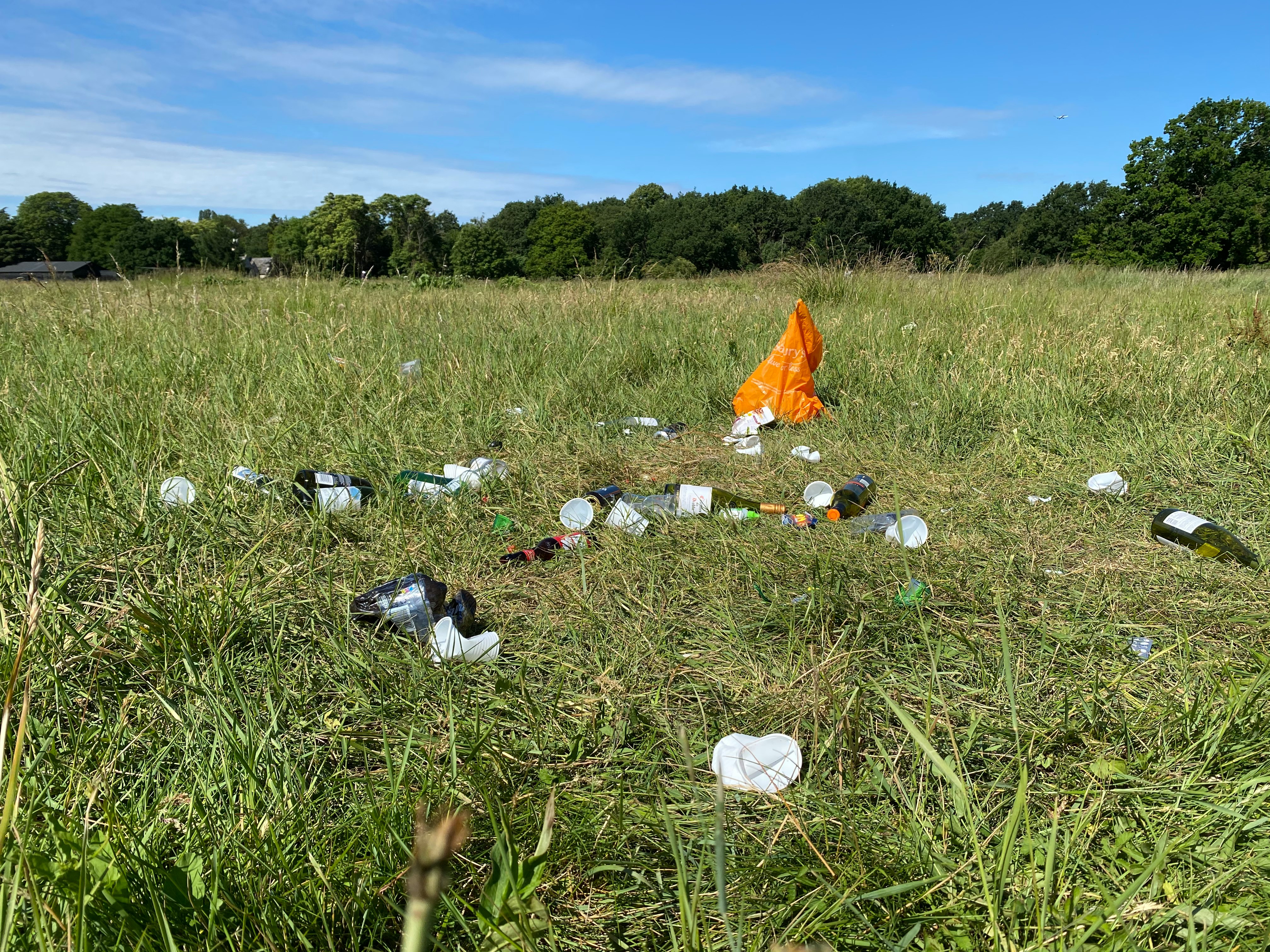 orange and white textile on green grass field during daytime