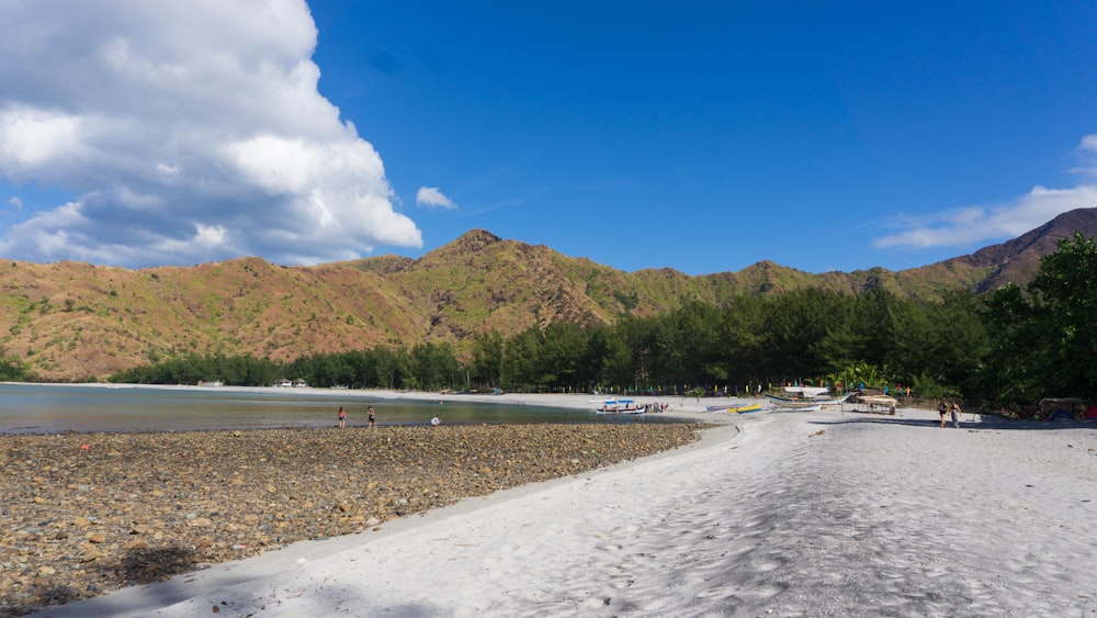 people on beach during daytime