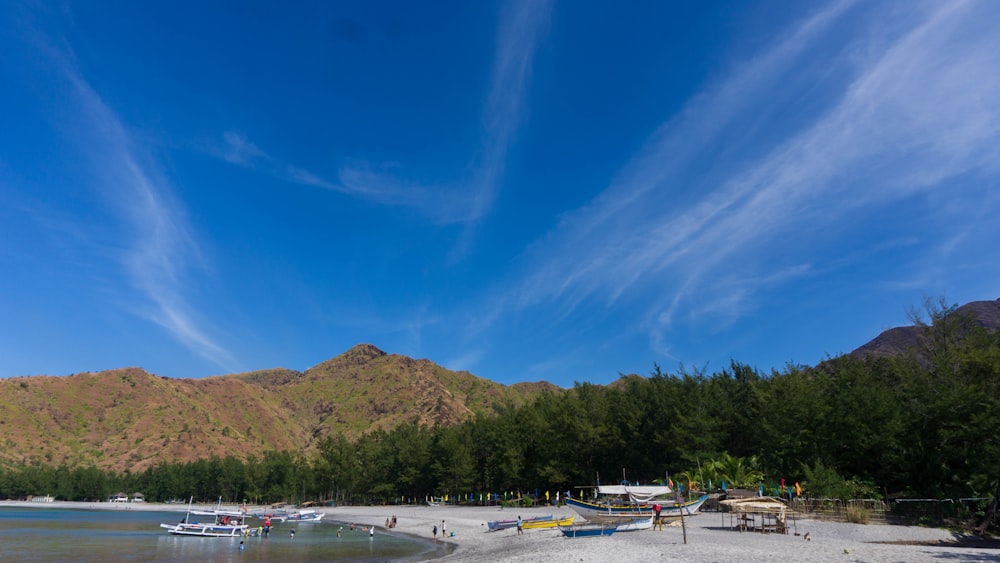 white and red boat on sea shore near green trees and mountain under blue sky during