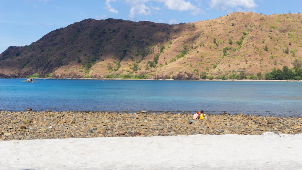 people on beach during daytime