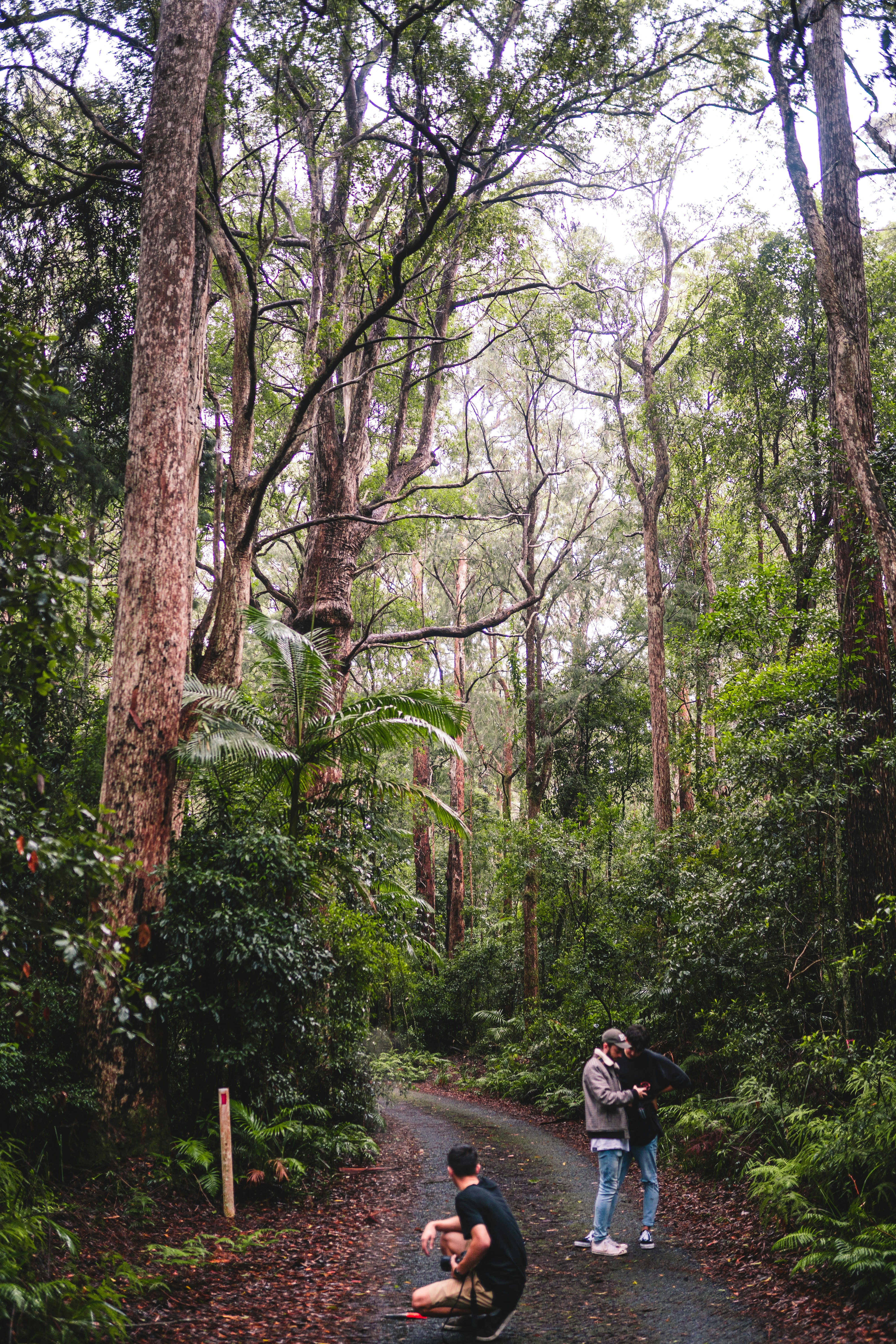 man in black jacket and black pants sitting on gray concrete pavement surrounded by green trees