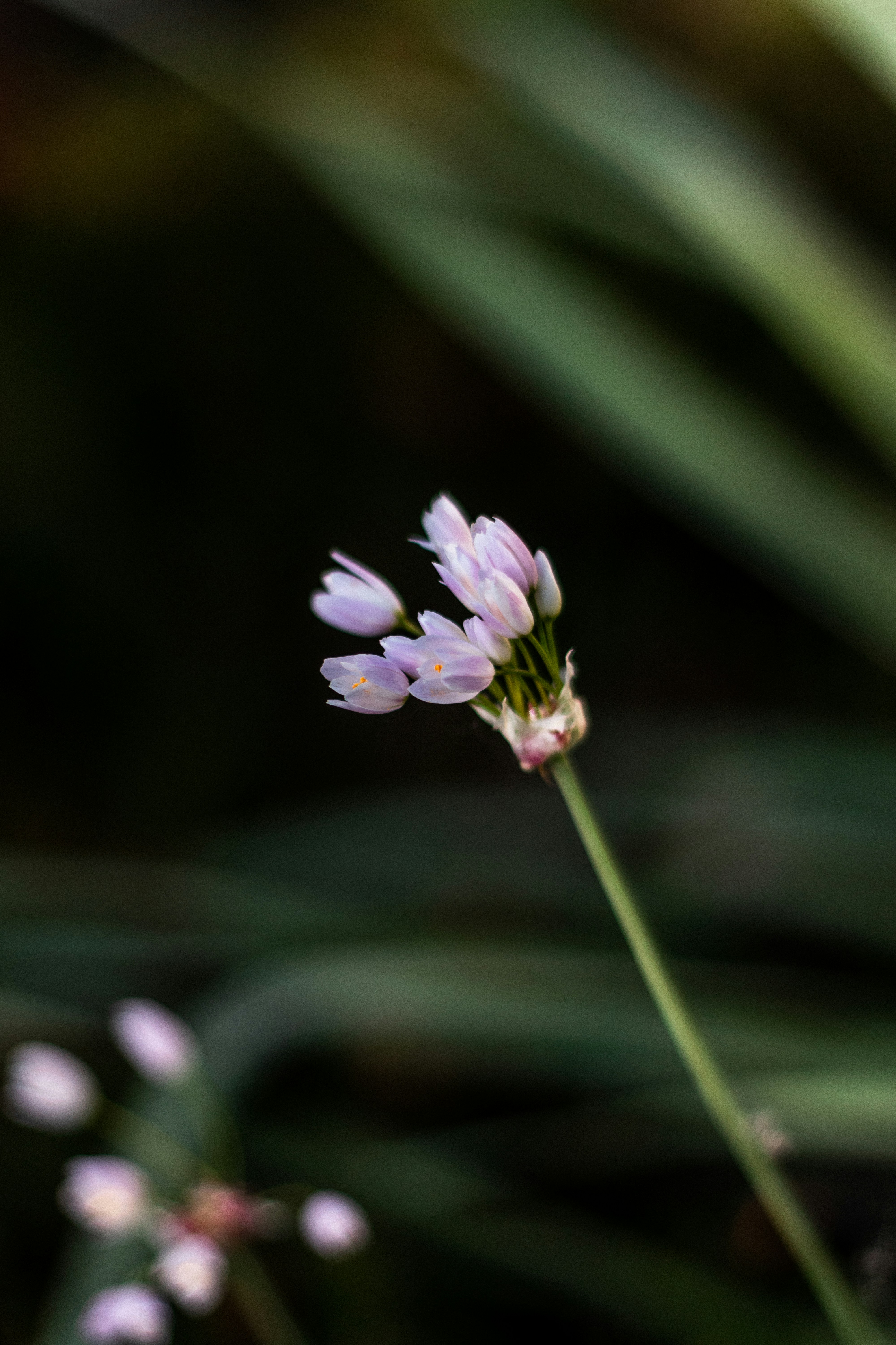 Photo by valentinlacoste