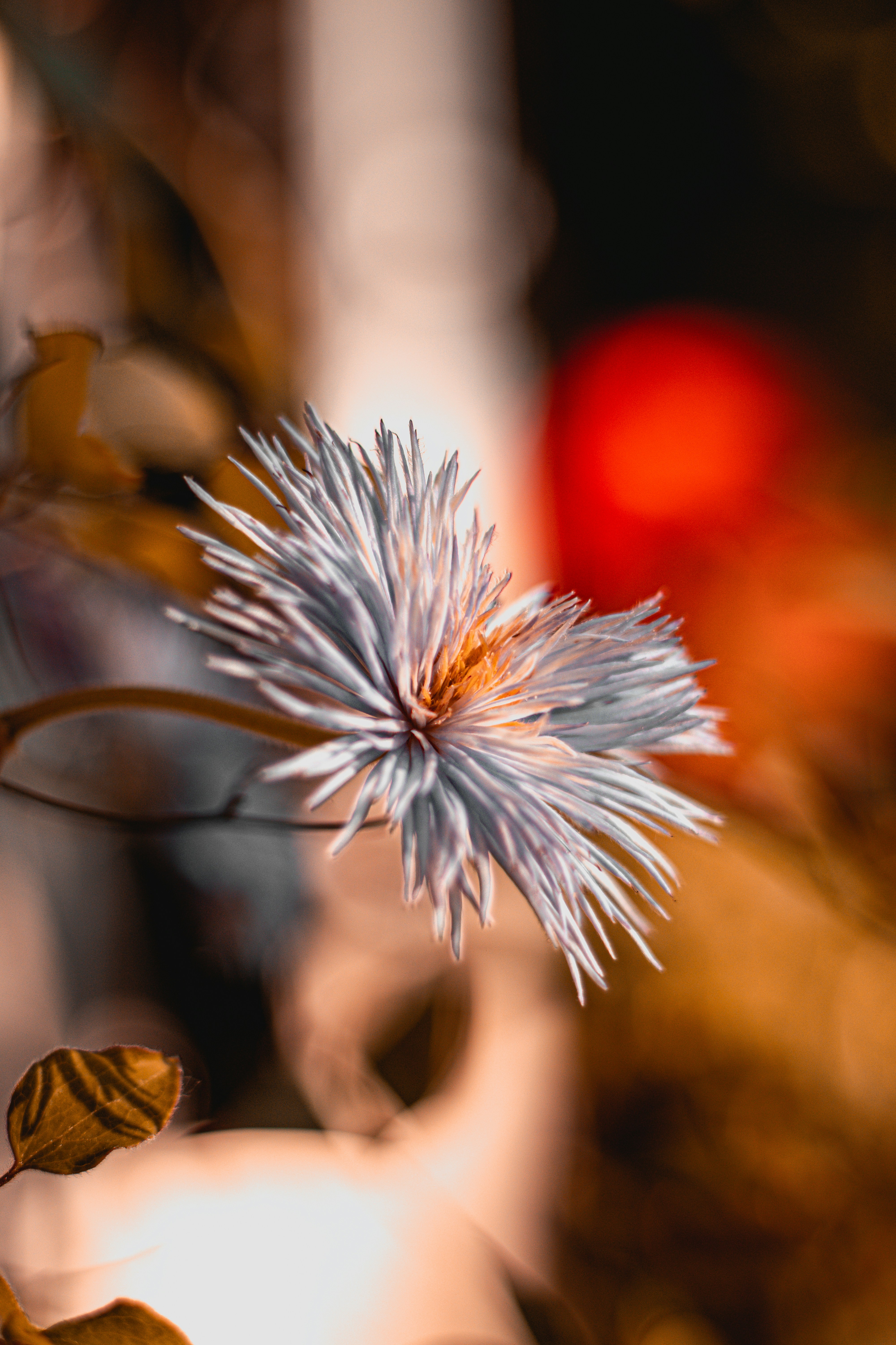 Photo by valentinlacoste