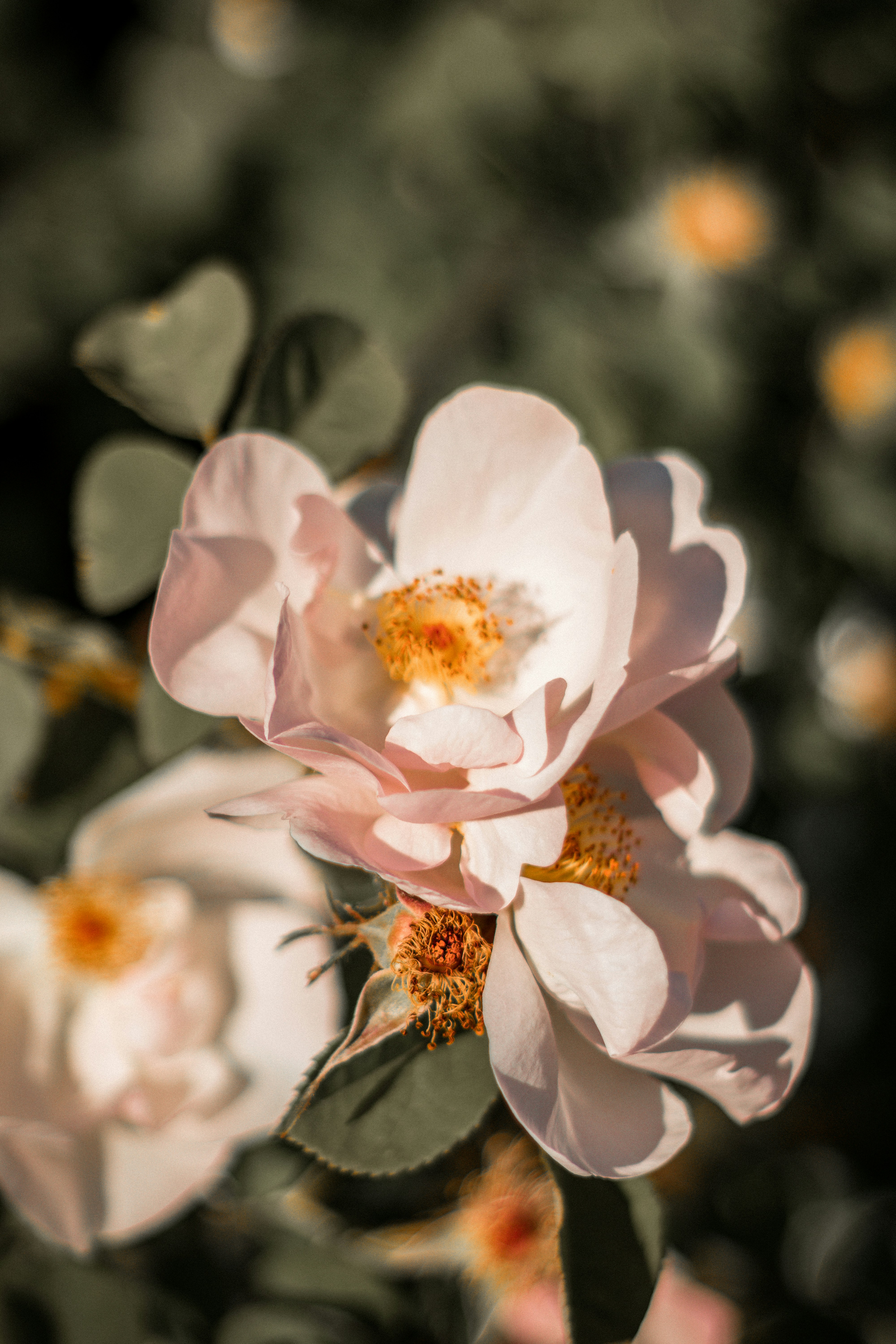 Photo by valentinlacoste