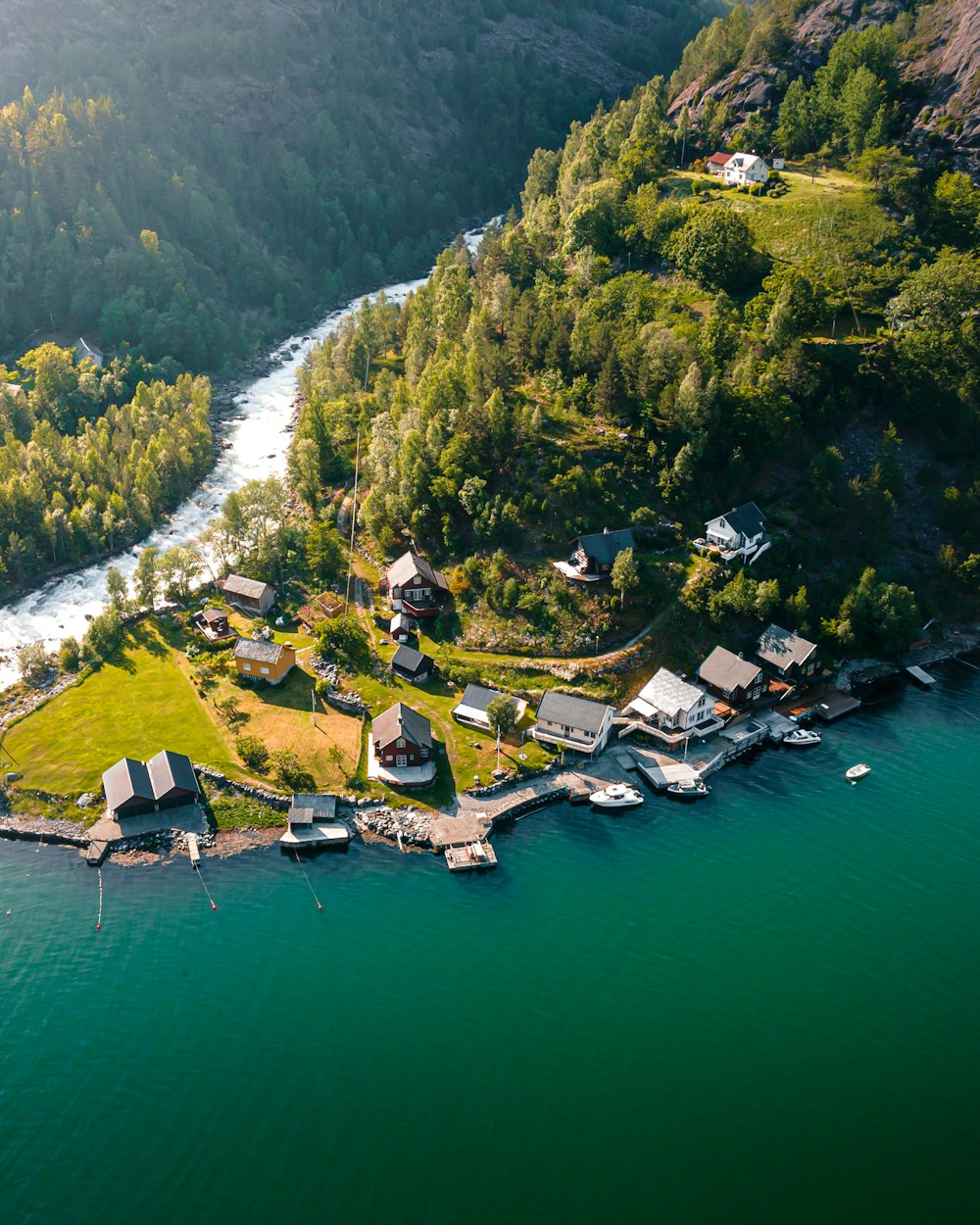 aerial view of green trees and body of water during daytime