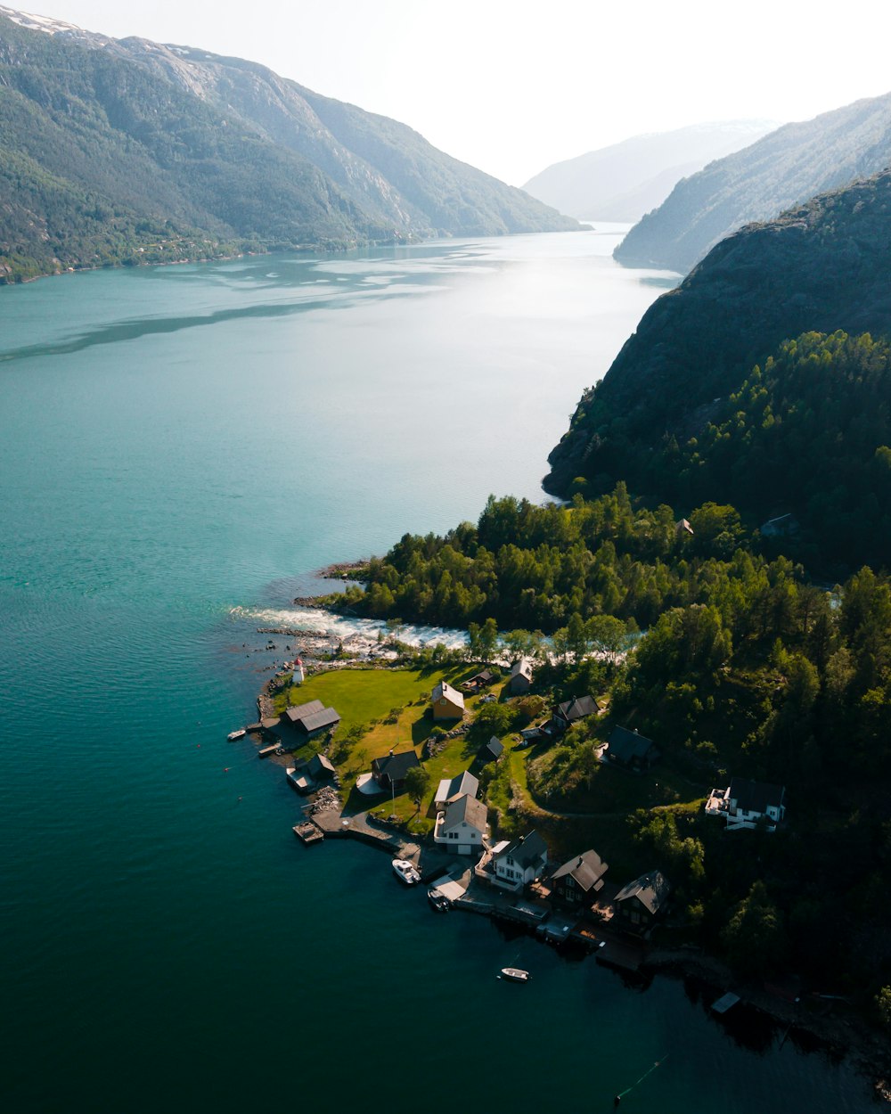 aerial view of green trees near lake during daytime