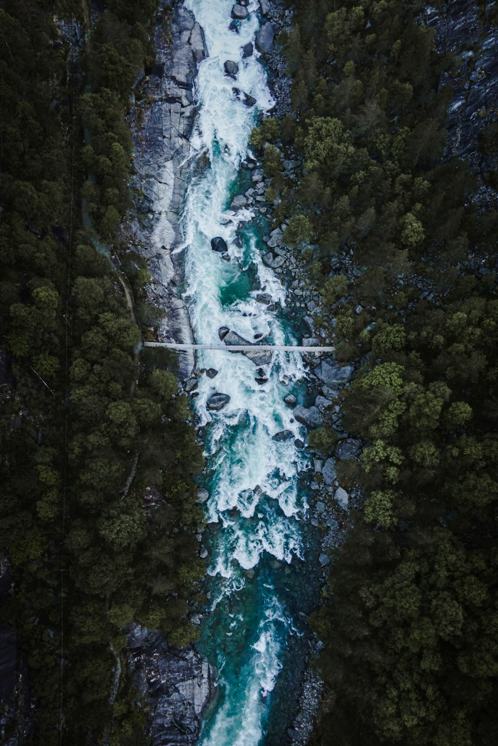 緑の木々と滝
