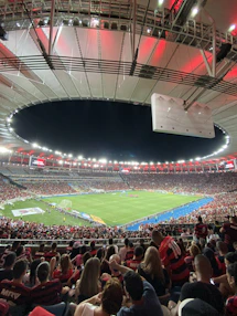 Man United fan cheering in the stands wearing the classic red jersey under stadium lights.