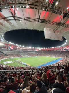 A vibrant soccer stadium filled with cheering fans under bright floodlights.