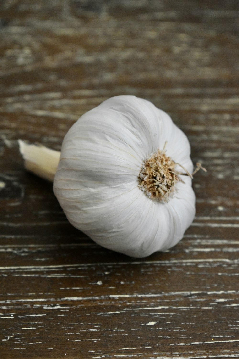 ajo blanco sobre mesa de madera marrón