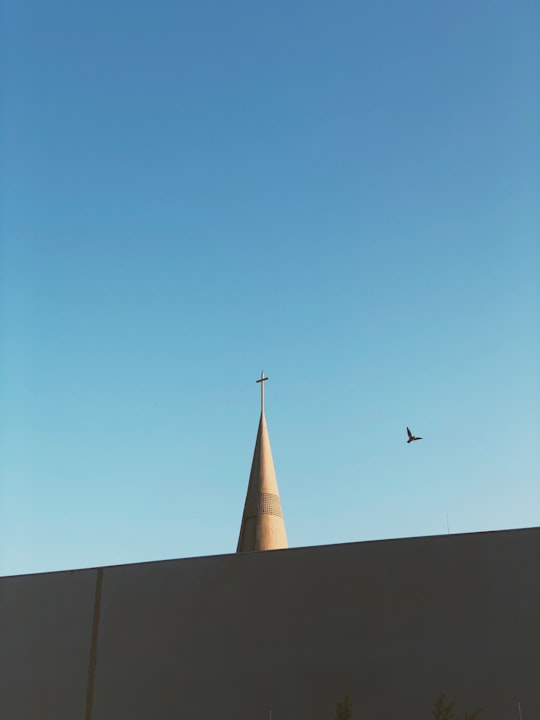 white and brown concrete building under blue sky during daytime in Maringá Brasil