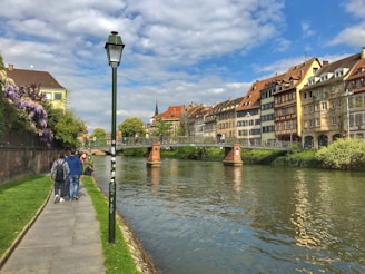 people walking on sidewalk near body of water during daytime