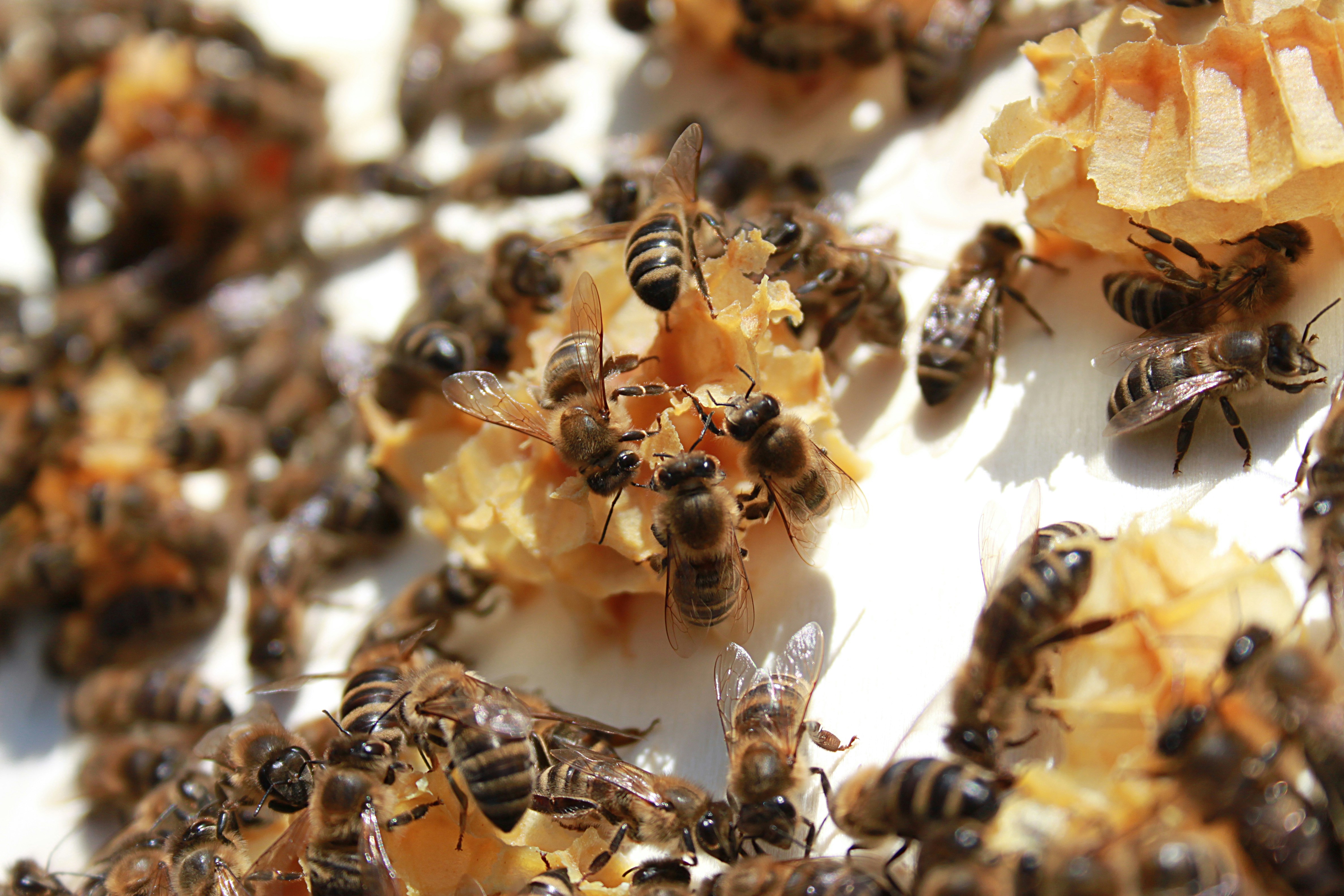 Photo by nikki_fahlandt