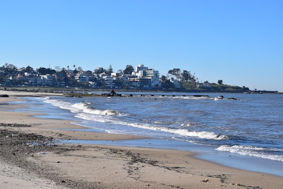 Playa de Montevideo