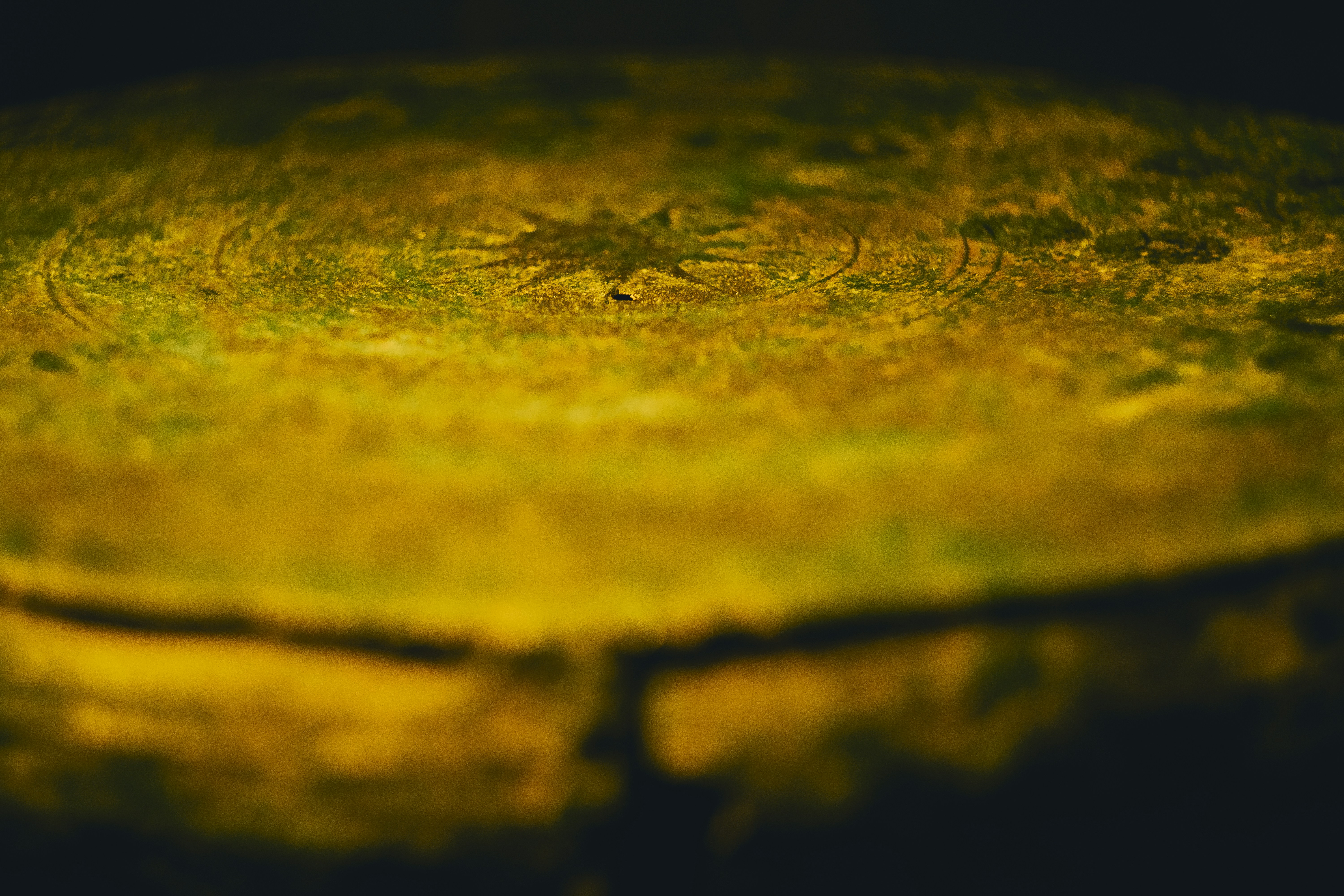 Photo by invisibledragon