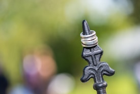 A detailed ornamental black metal spike topped with two silver rings stands out against a softly blurred background of green and natural tones.