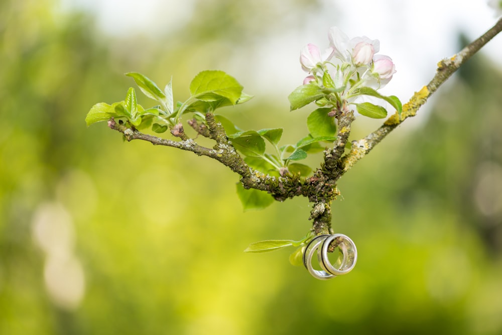 silver wedding band on pink flower