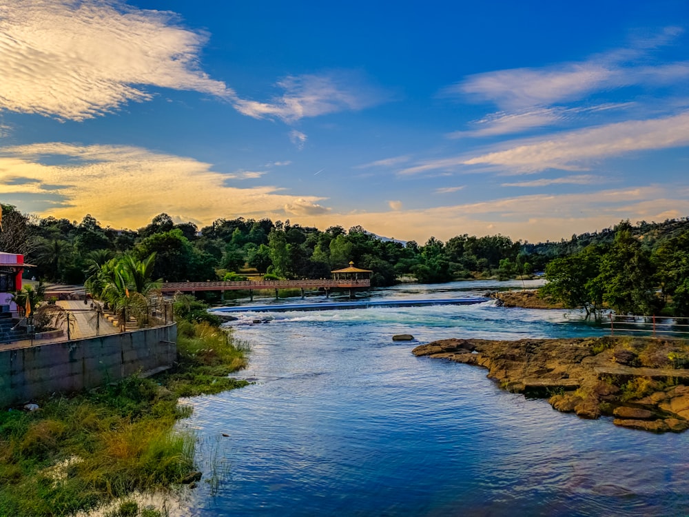 green trees beside river under blue sky during daytime