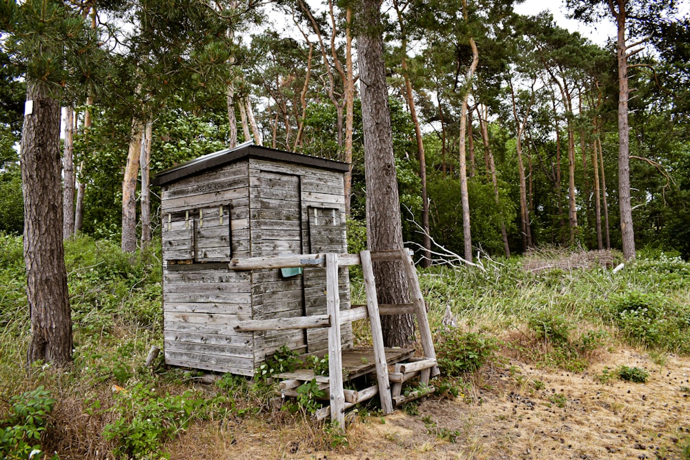 Weißes Holzhaus im Wald