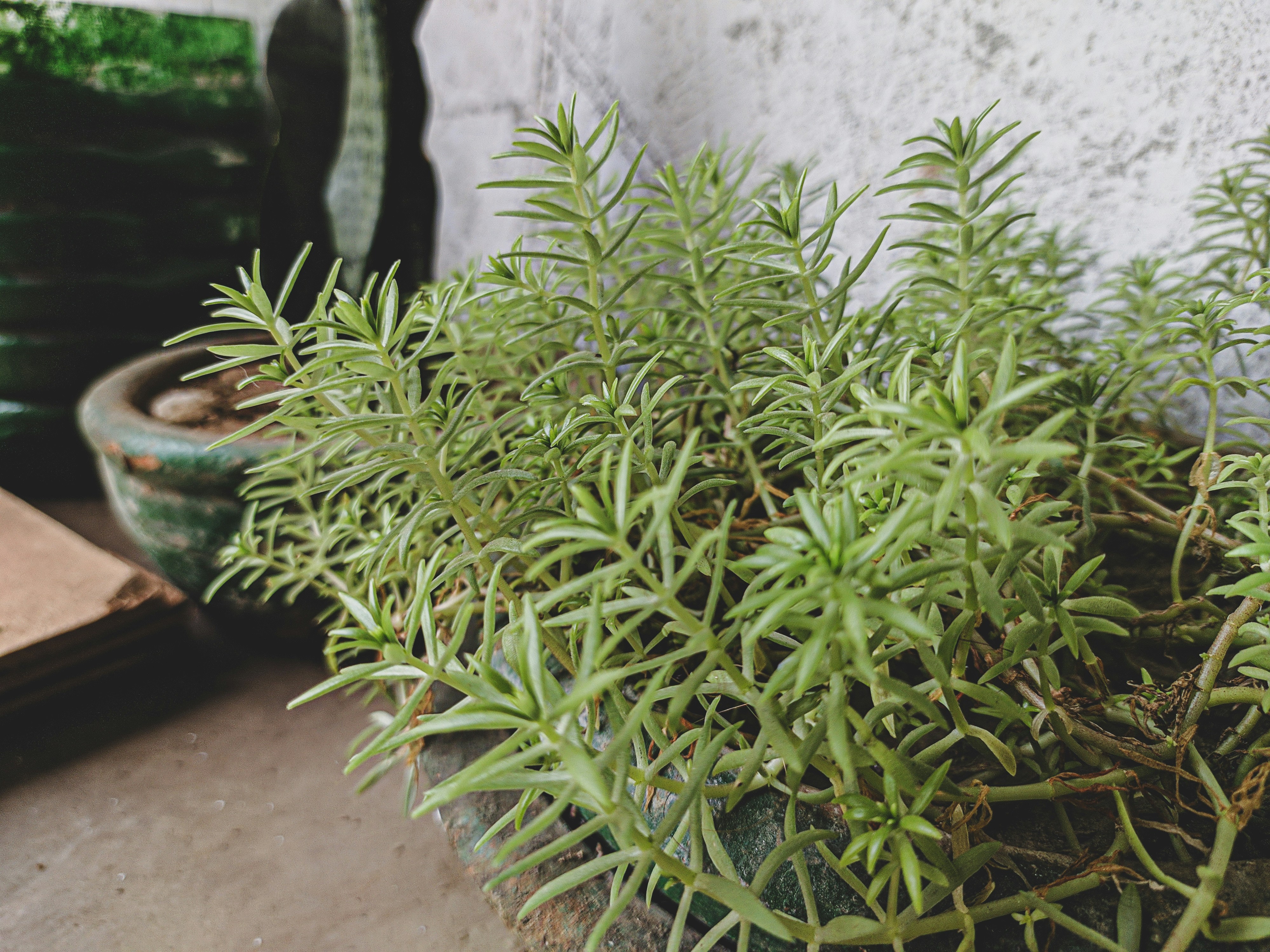 Photo by shipon9962005