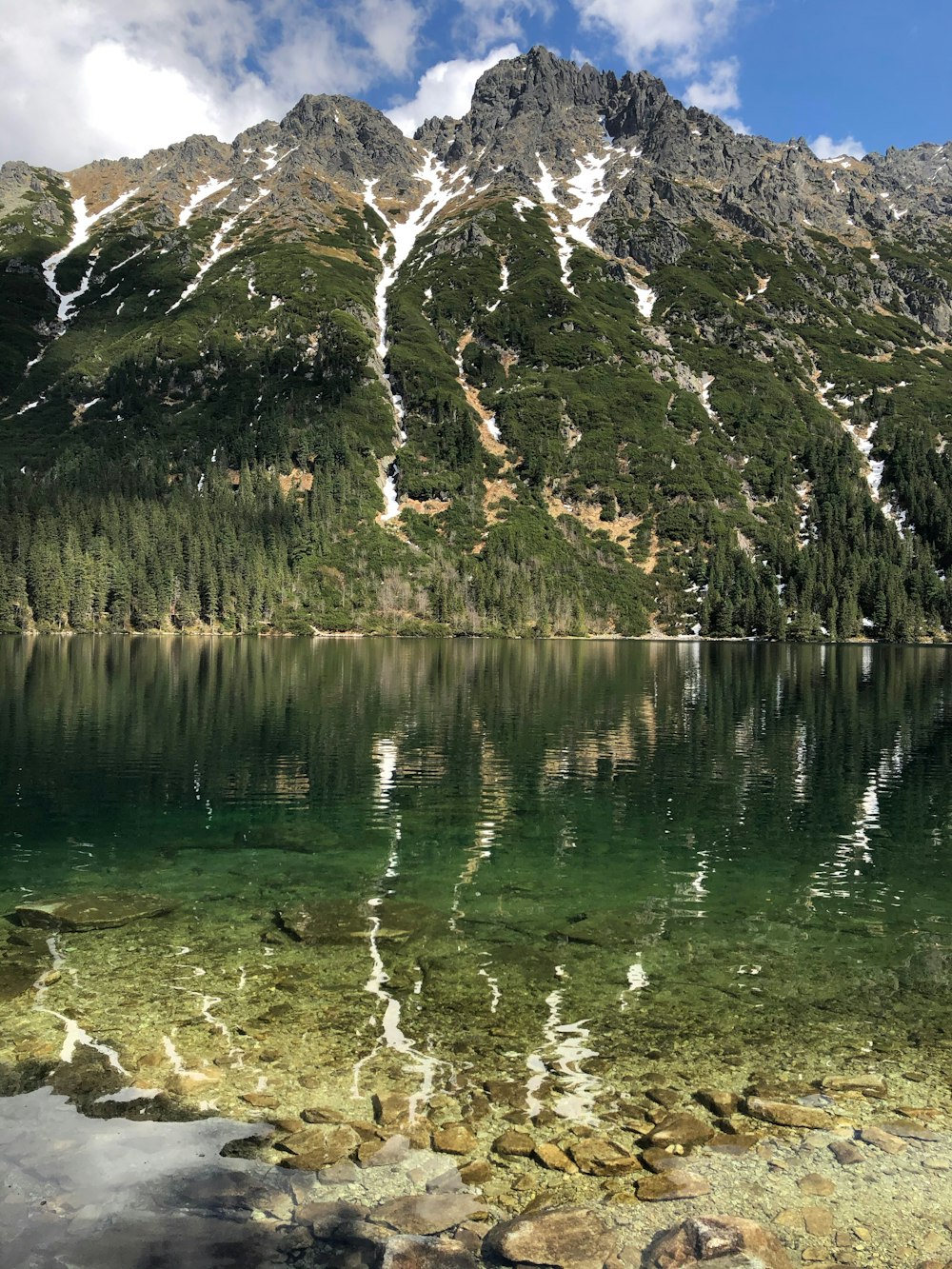 green trees near lake during daytime