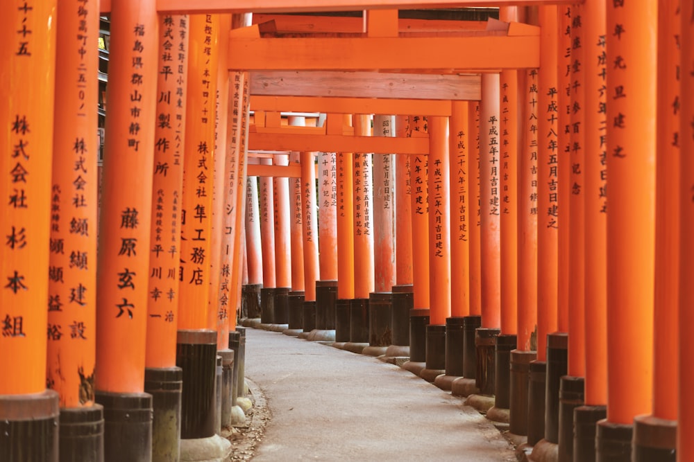 orange and black wooden bridge