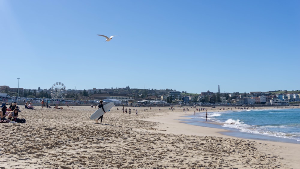 people on beach during daytime