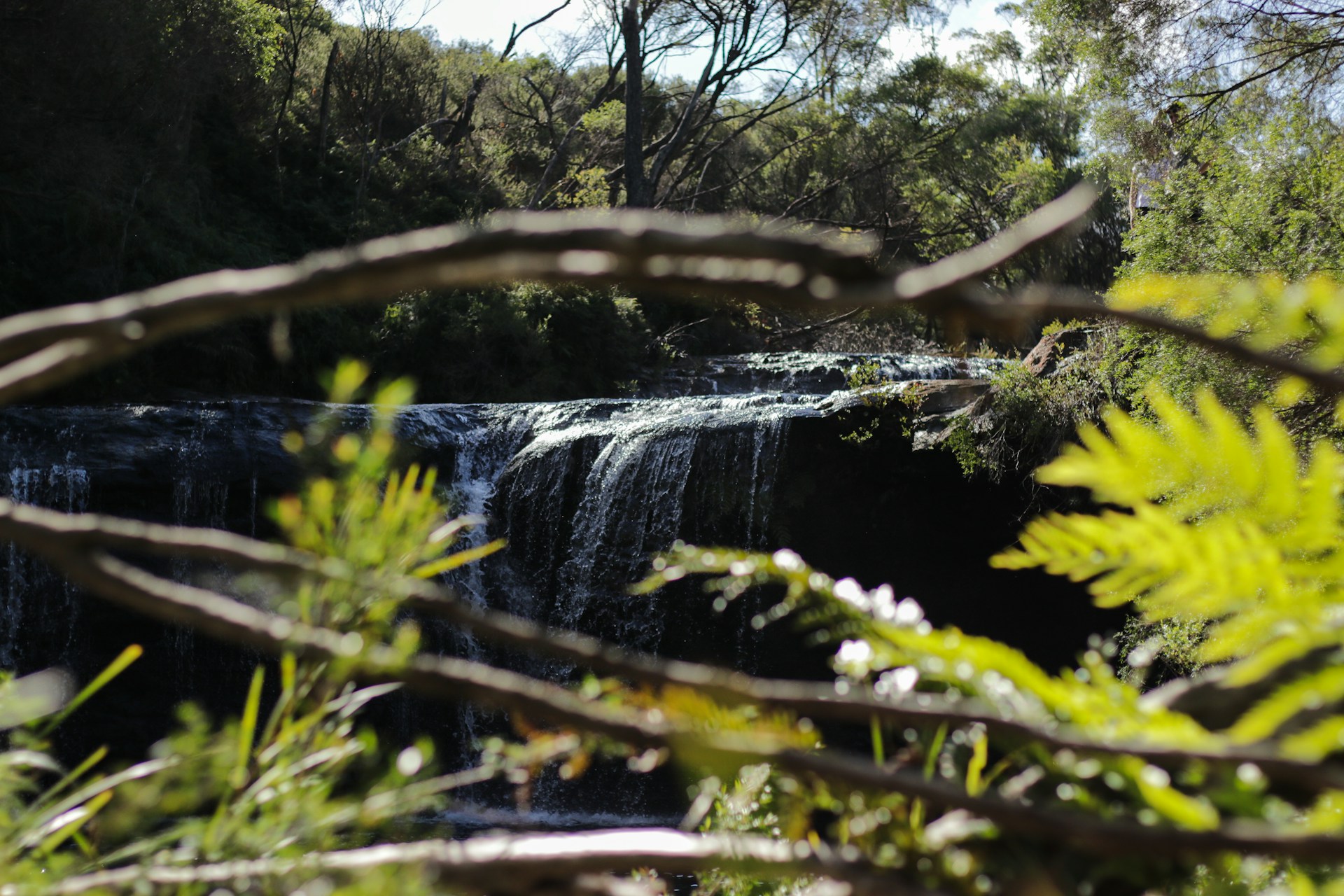 Scenic glimpse of the nearby natural waterfall and river, framed by dense tropical foliage and sunlight filtering through.
