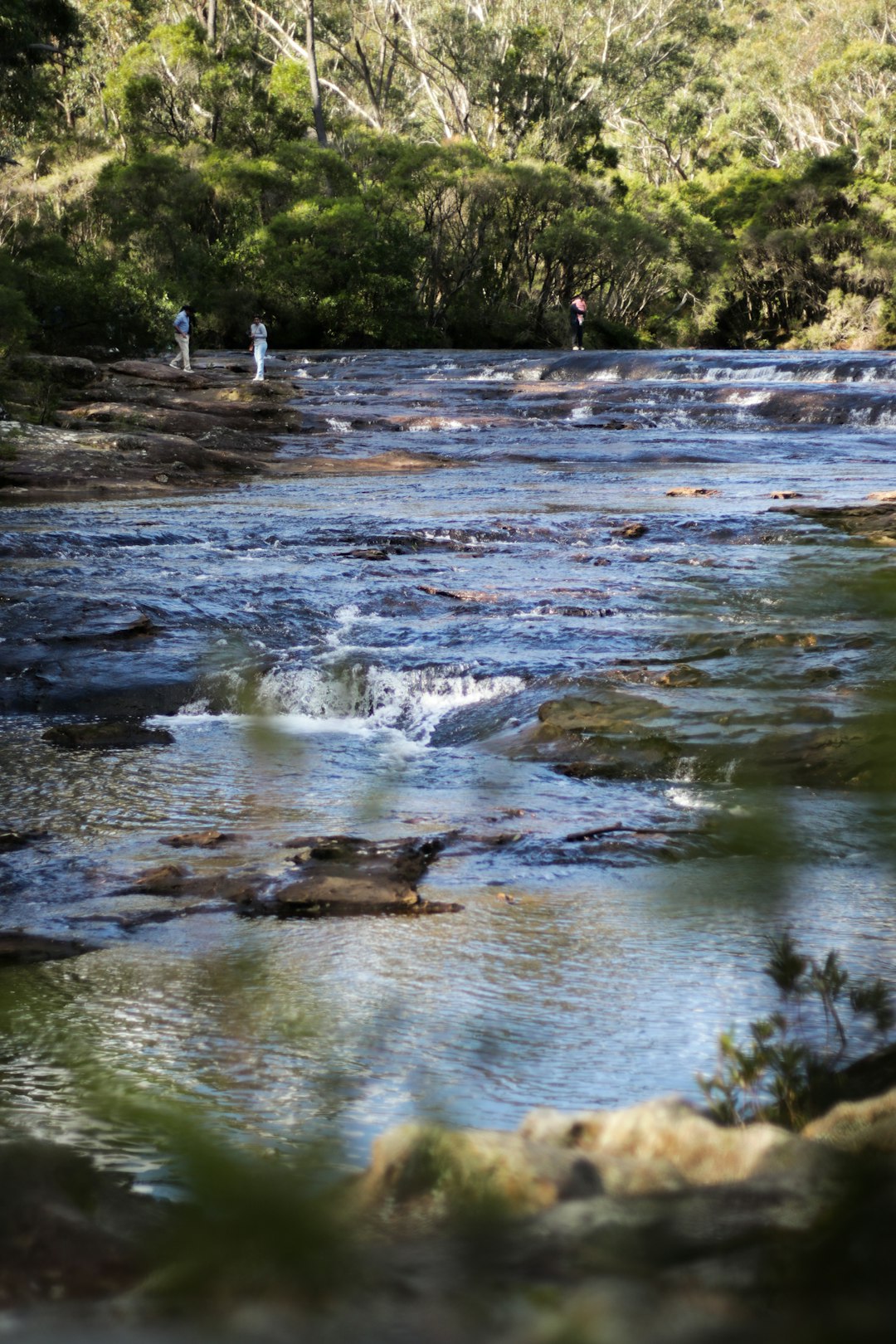 Mountain river photo spot Carrington Falls NSW Australia