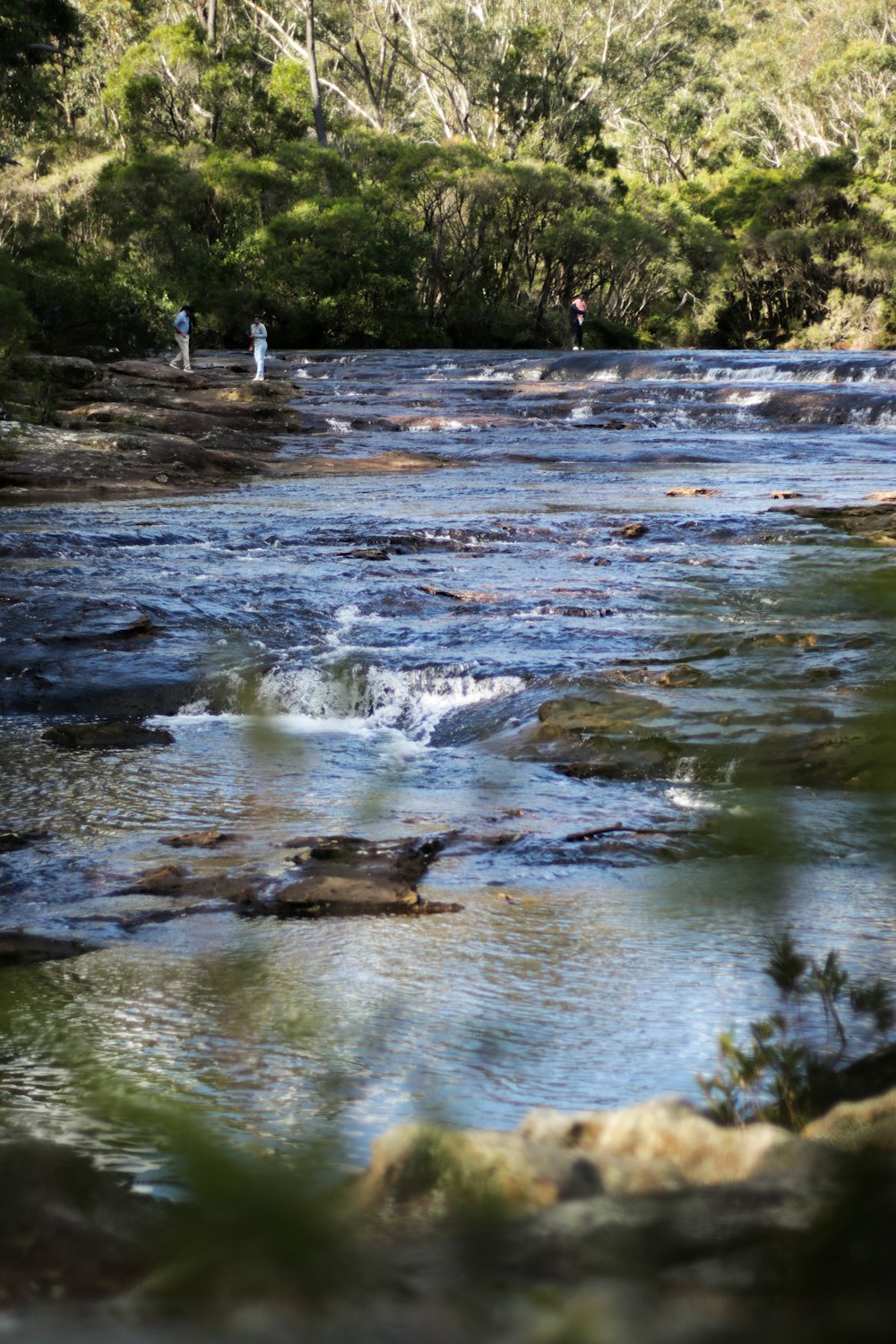 water falls on the river