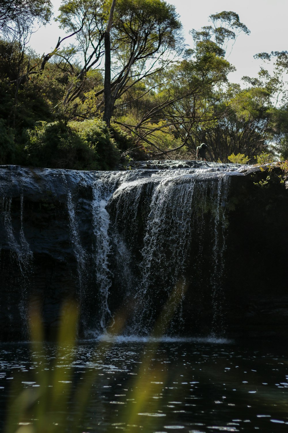 water falls in the middle of the forest