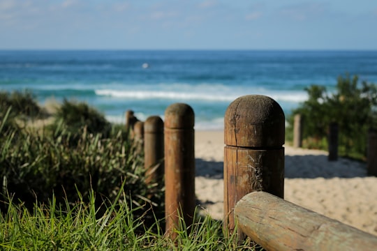 brown wooden fence on green grass near body of water during daytime in Carrington Falls NSW Australia