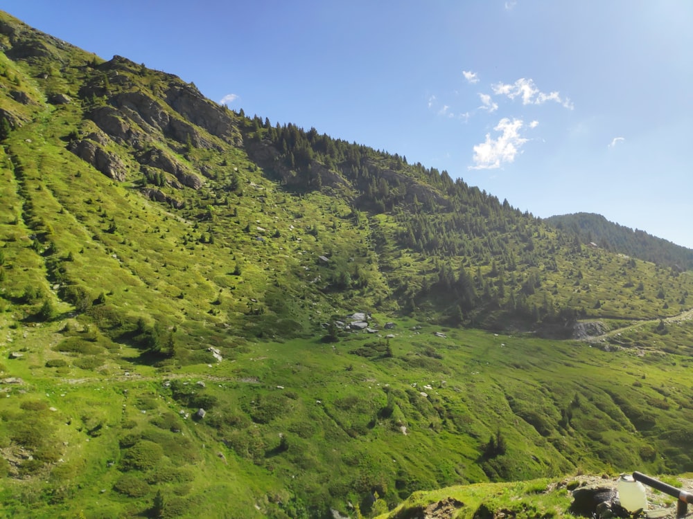 green grass covered mountain under blue sky during daytime