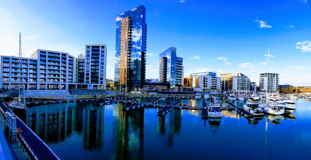 a marina filled with lots of boats next to tall buildings