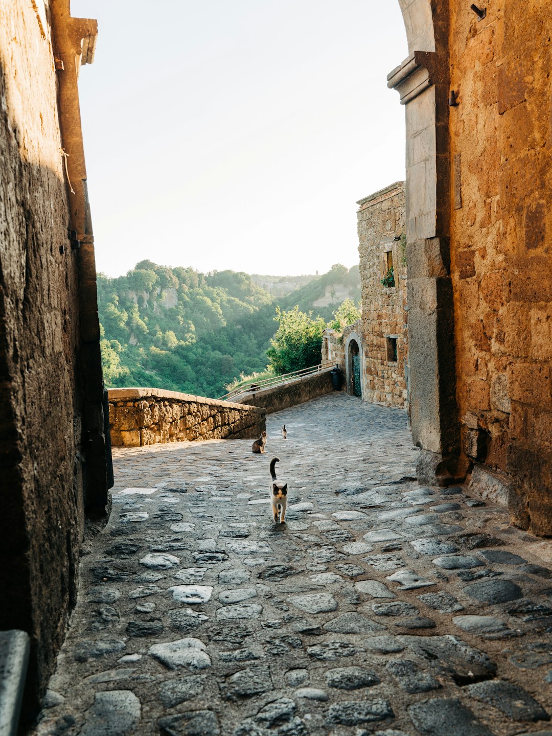 Town photo spot Civita di Bagnoregio Piazza di Trevi